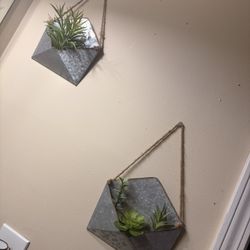 Wall Decor 