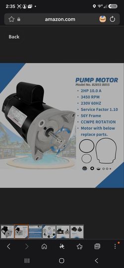 Pool Pump Motor