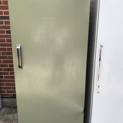 Freezer - 21 Cu.ft