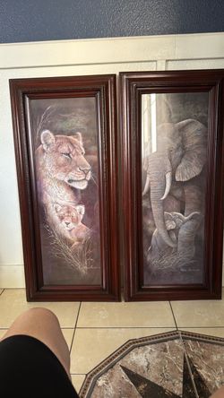 Animal Framed Prints