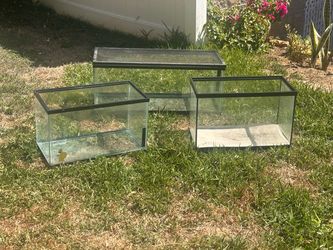 Fish tanks and reptile tank