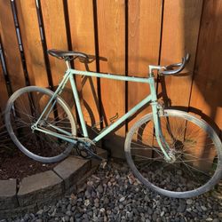 Trek Single Speed Project.