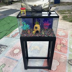 10 Gallons Fish Tank 