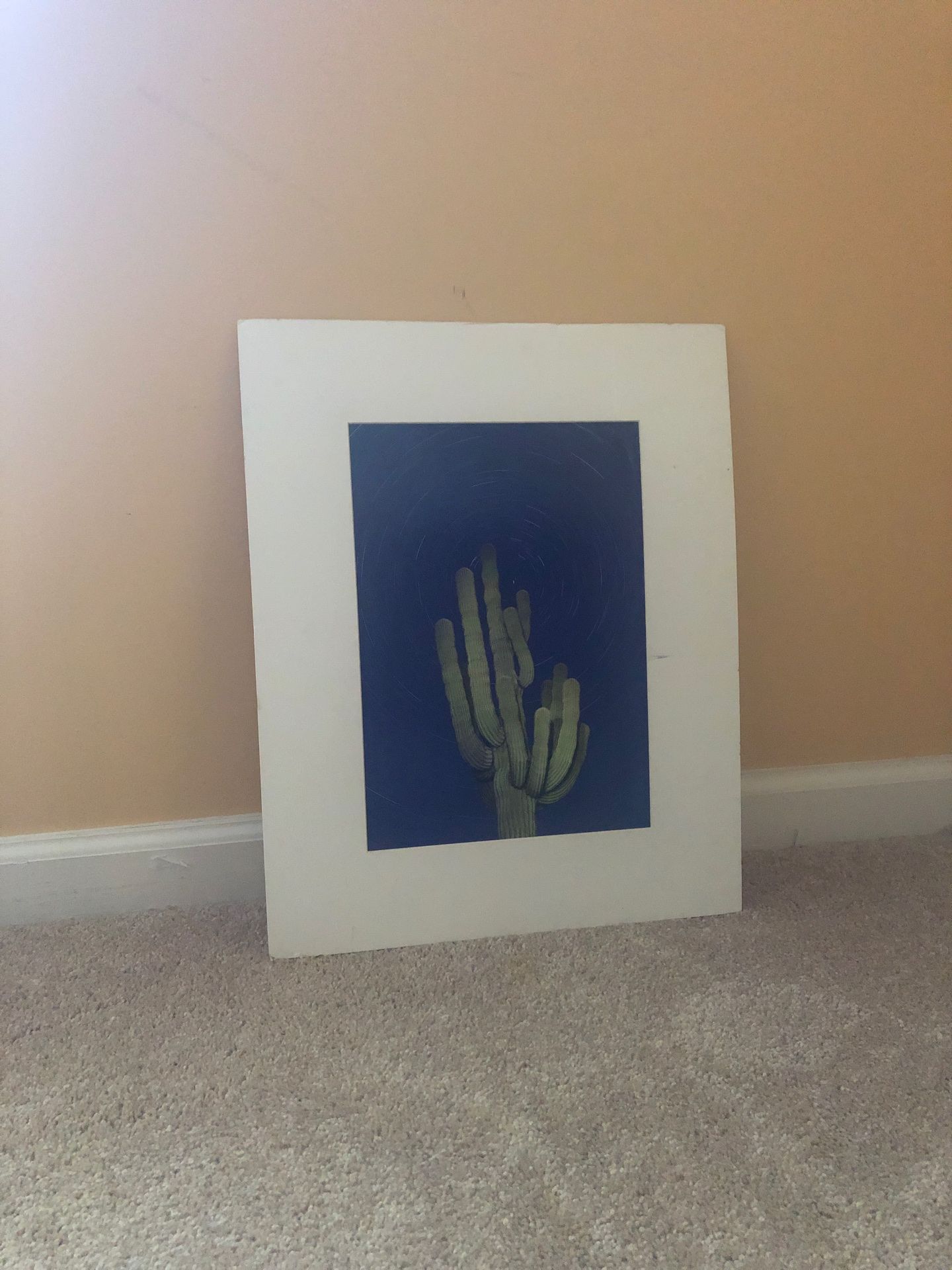 Cactus print