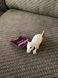 Brand New Baby Opossum Skeleton