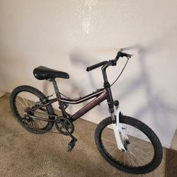 20 Inch Mountain Bike 