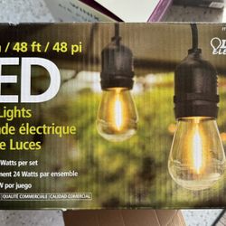 LED String Lights 48 Feet 24 LED bulbs