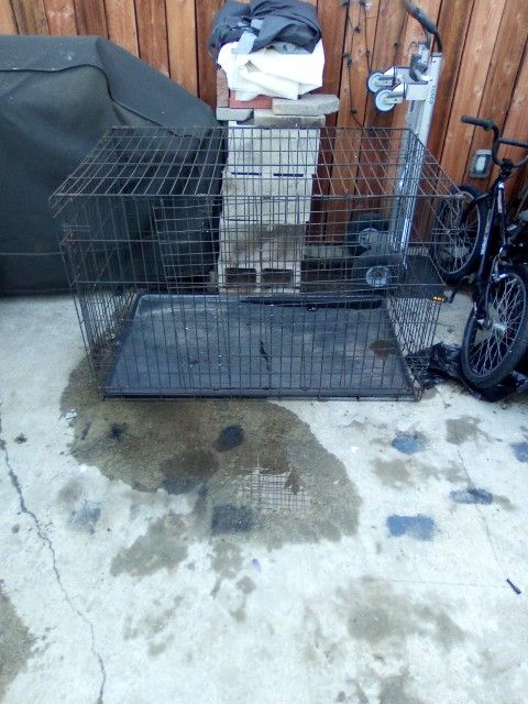 For Large Dog's