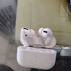 Apple iPod Earbuds, Cheep !!