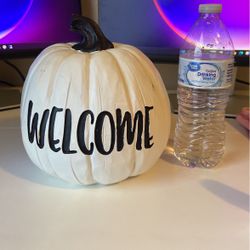White And Black Pumpkin 
