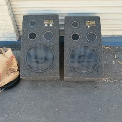 Acoustic Response 