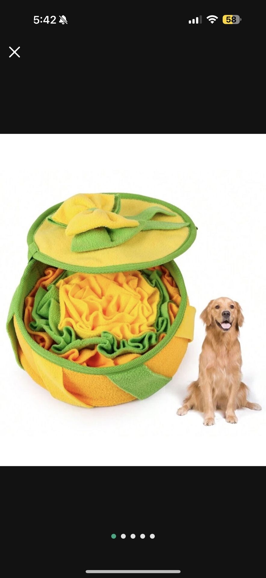 Pet Toy