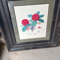 2 Pictures