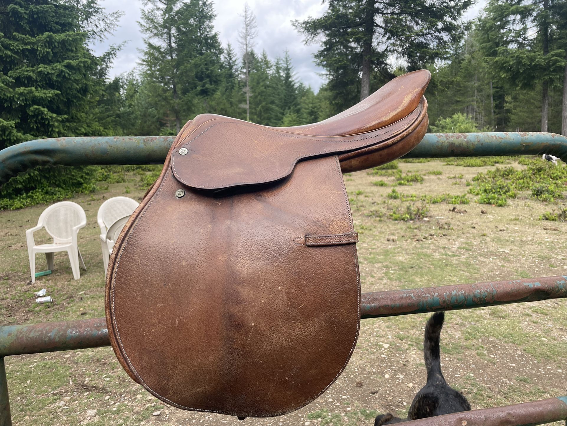 16.5 English Saddle