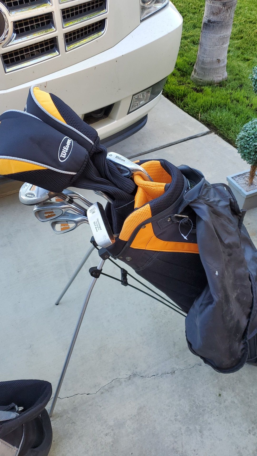 Free Wilson Golf Clubs