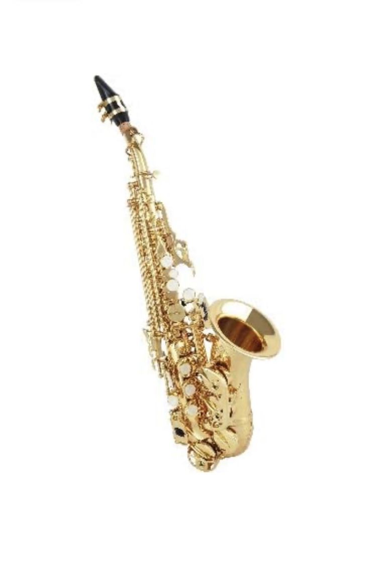 Curved Soprano Saxophone BRAND NEW SAX