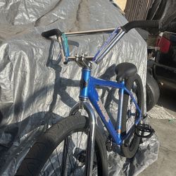 Throne 29er