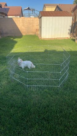 Corral Para  Tus Mascotas 