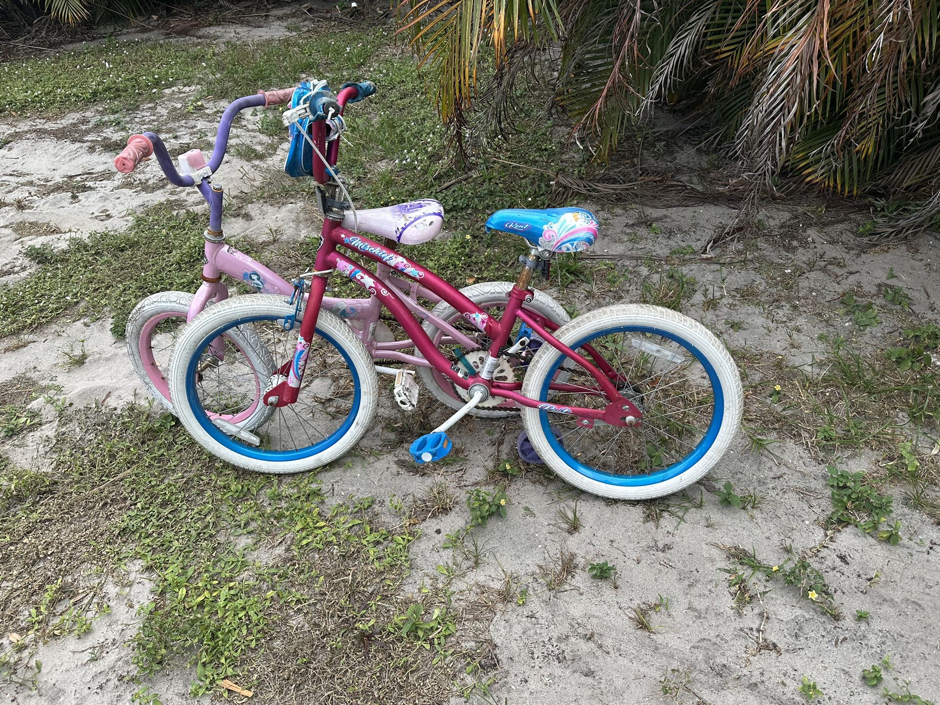 Princess Bike