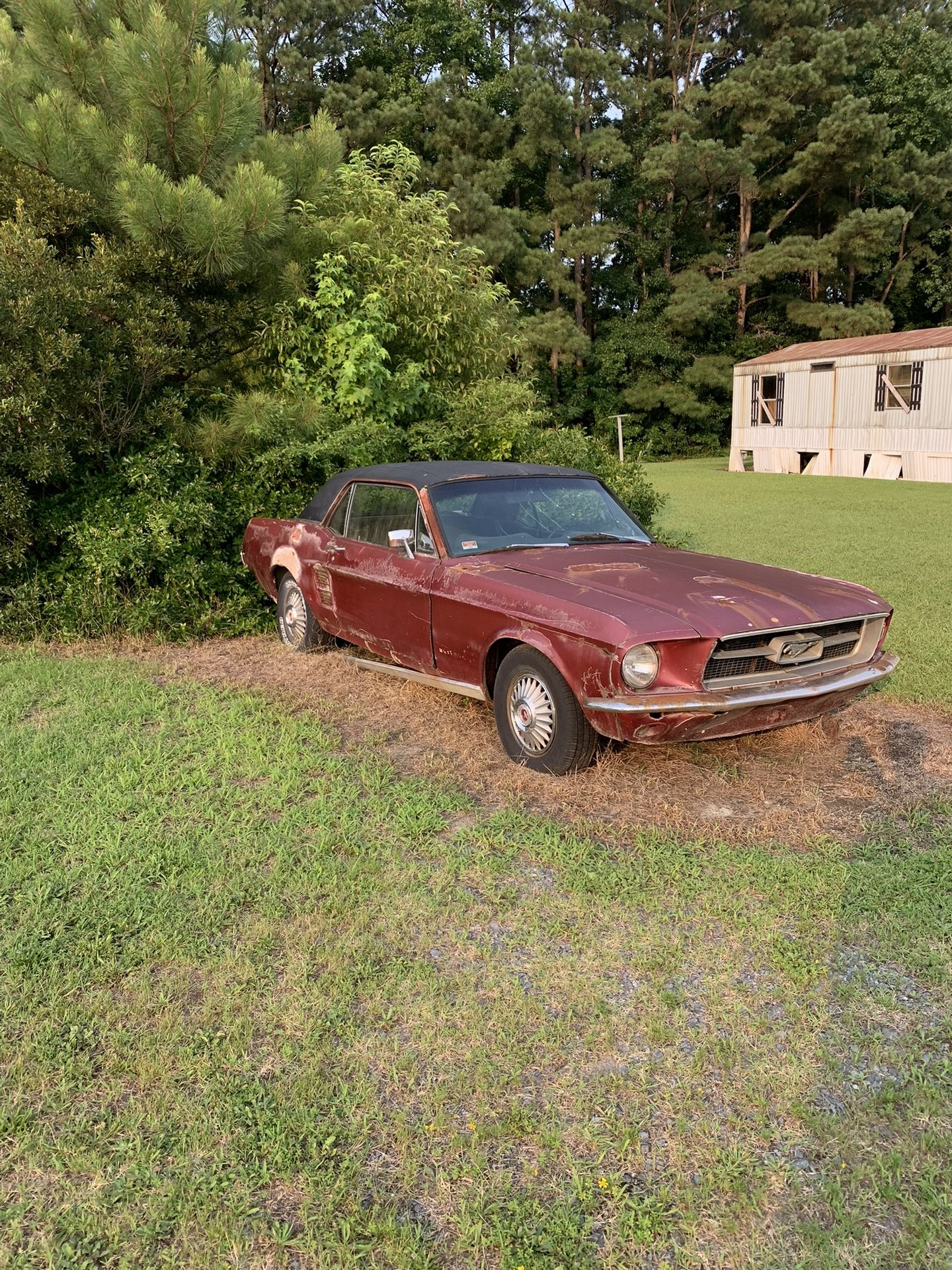 1967 Ford Mustang