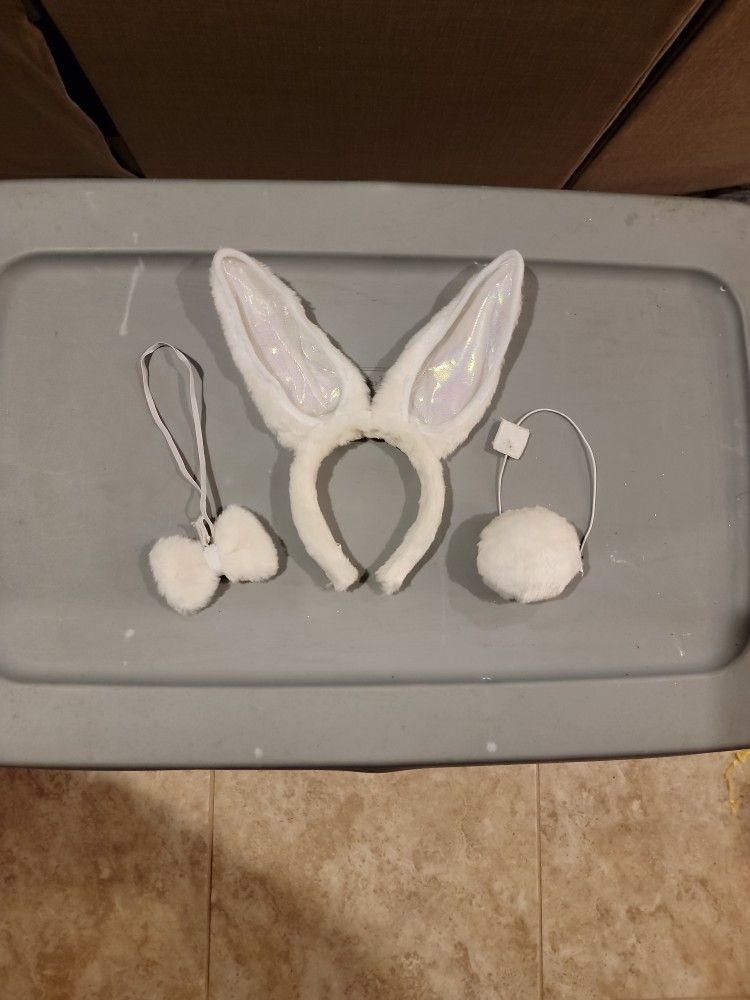 Bunny Costume