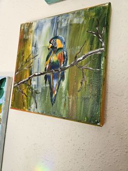 Birds In Nature