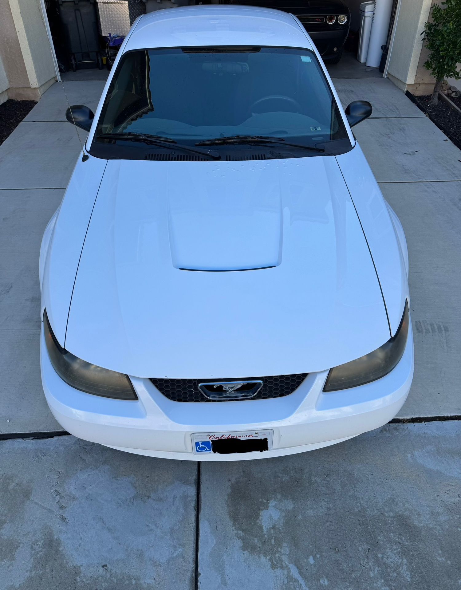 2003 Ford Mustang for Sale in Las Vegas, NV OfferUp