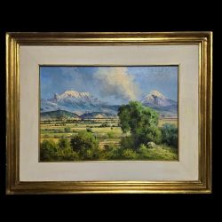 Nice Large Original Oil Painting On Canvas