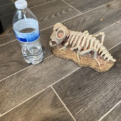 Reptile Decoration