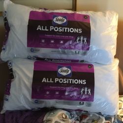 Sealy King Size Pillows