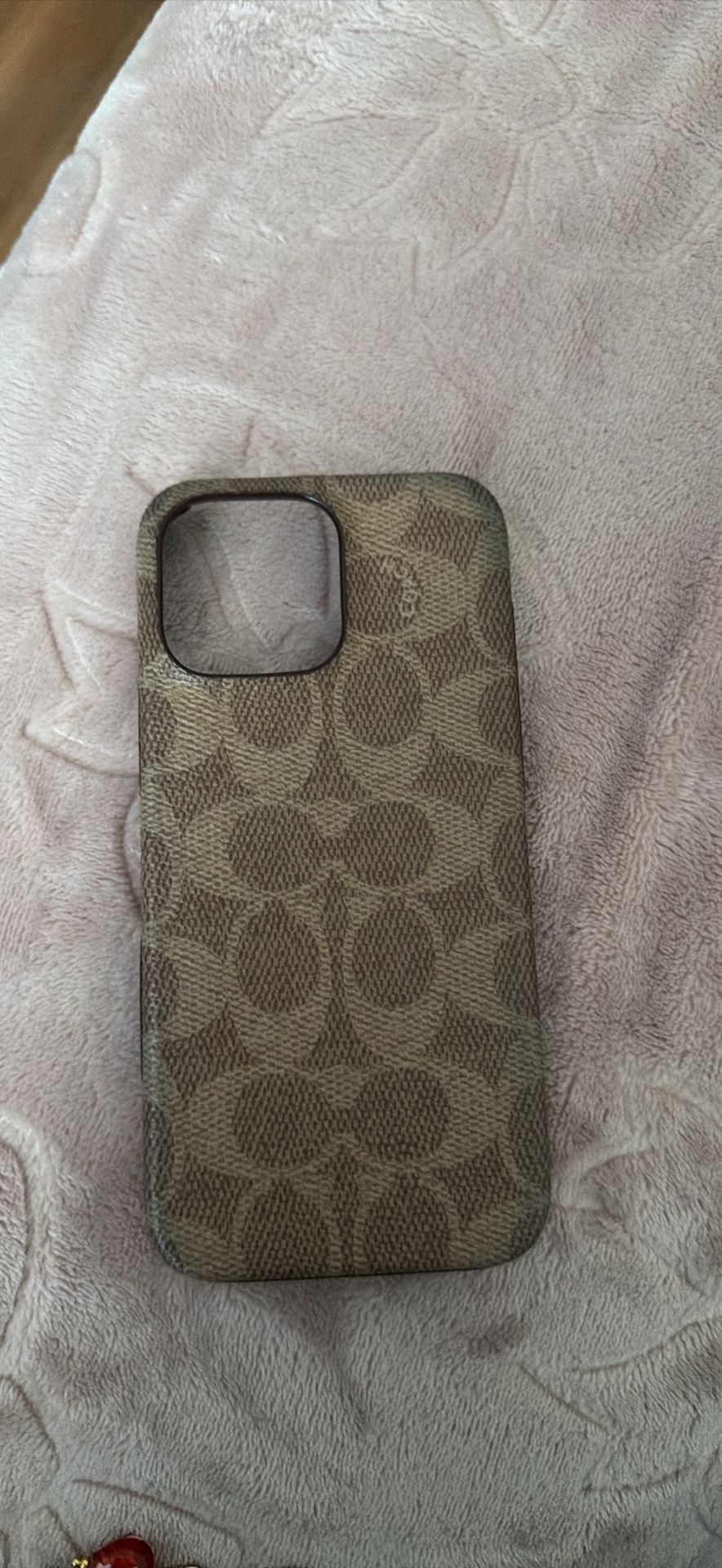 iPhone 16 Pro Max Cases 