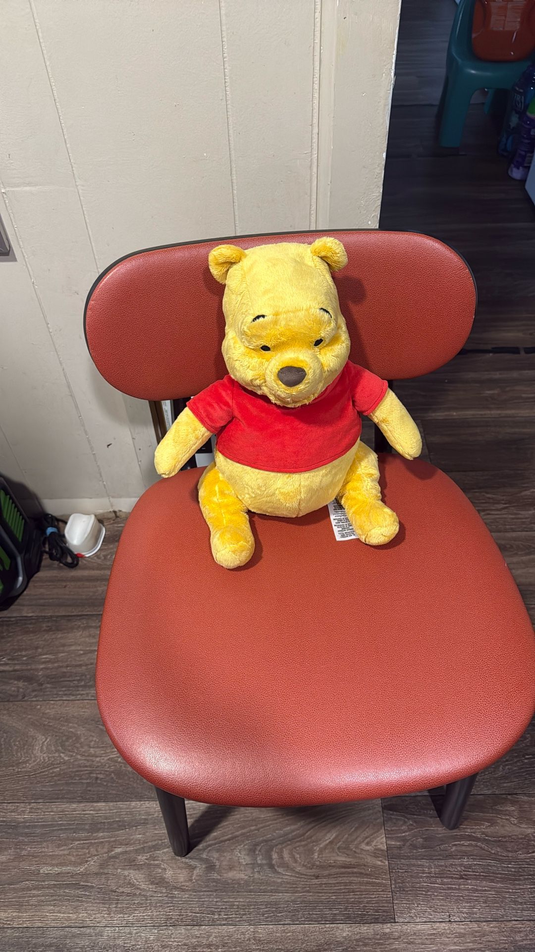Cute New Winnie the Pooh