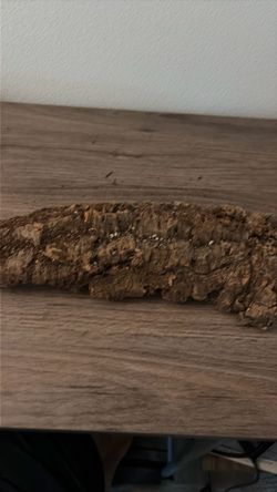 Natural Cork Bark Piece