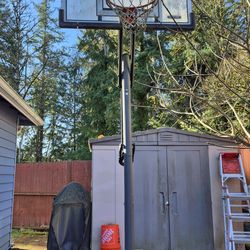 Free basketball hoop
