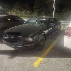 2005 Mustang For Sale