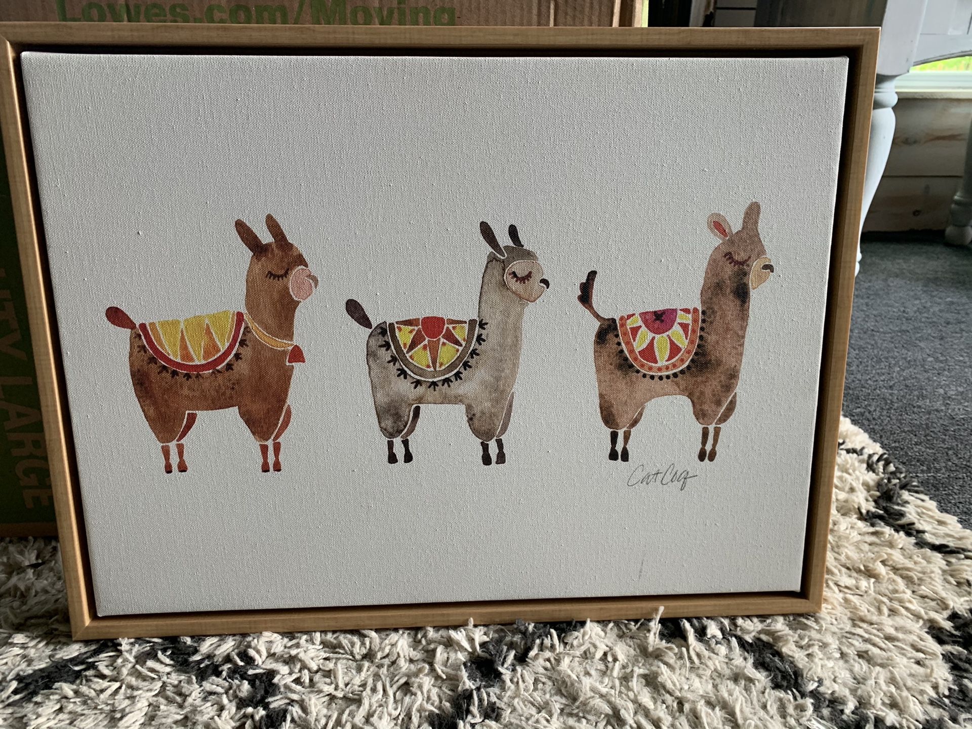 Llama framed canvas pic