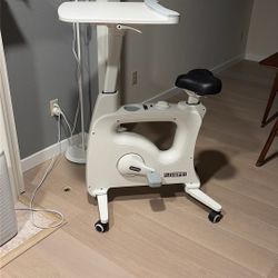 Flexispot bike work station