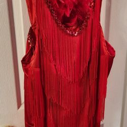 Satin Fringe Costume