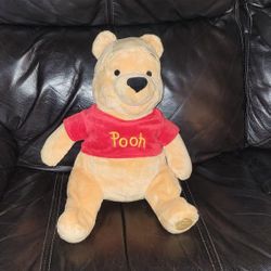 16" Plush Stffed Winnie The Pooh Disney Excellent Condition PRICE Is Firm Cash Only 