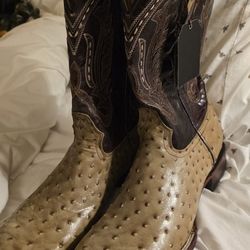 Ostrich Boots