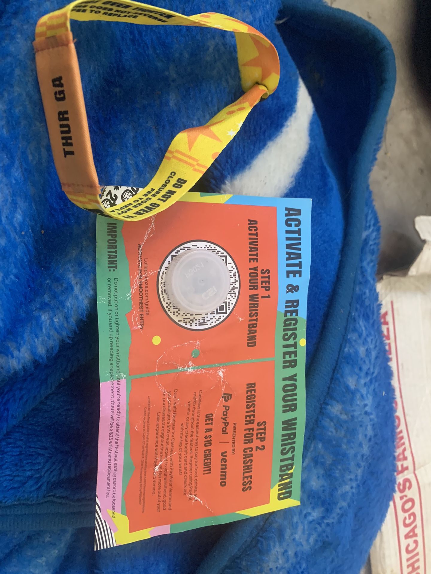 One Day General Admission Lollapalooza