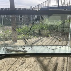 55 Gallon Fish Tank