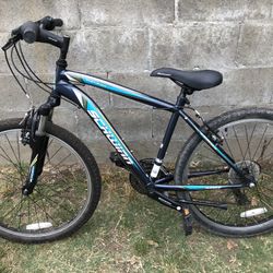 Schwinn castle store rock 24