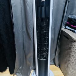 Fan 