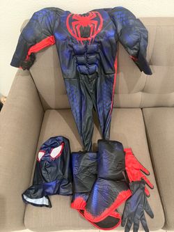 Spiderman costume