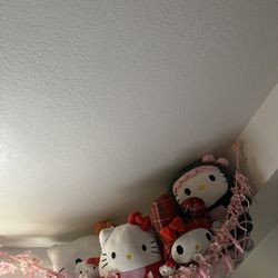 Hello Kitty Everything Included In Picture And Carrier 