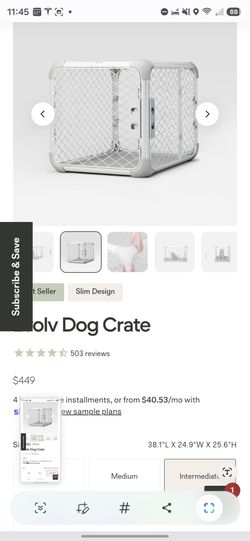 DIGGS Evolve Dog Crate