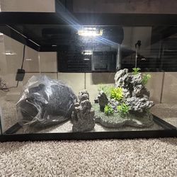 Fish Aquarium   