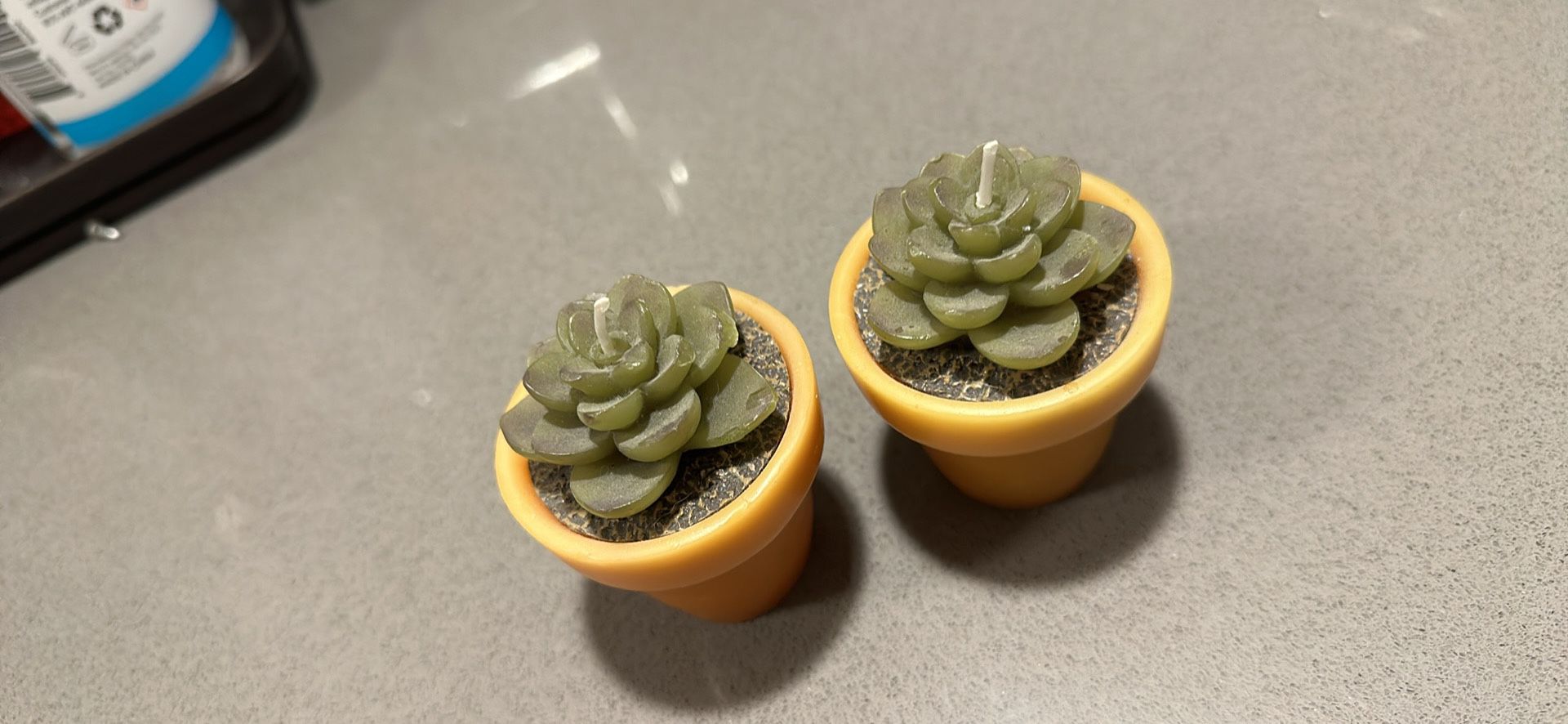 Cutest Succulent Candles 🕯️ 🪷 - Both For $5
