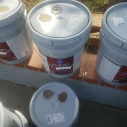New Paint 